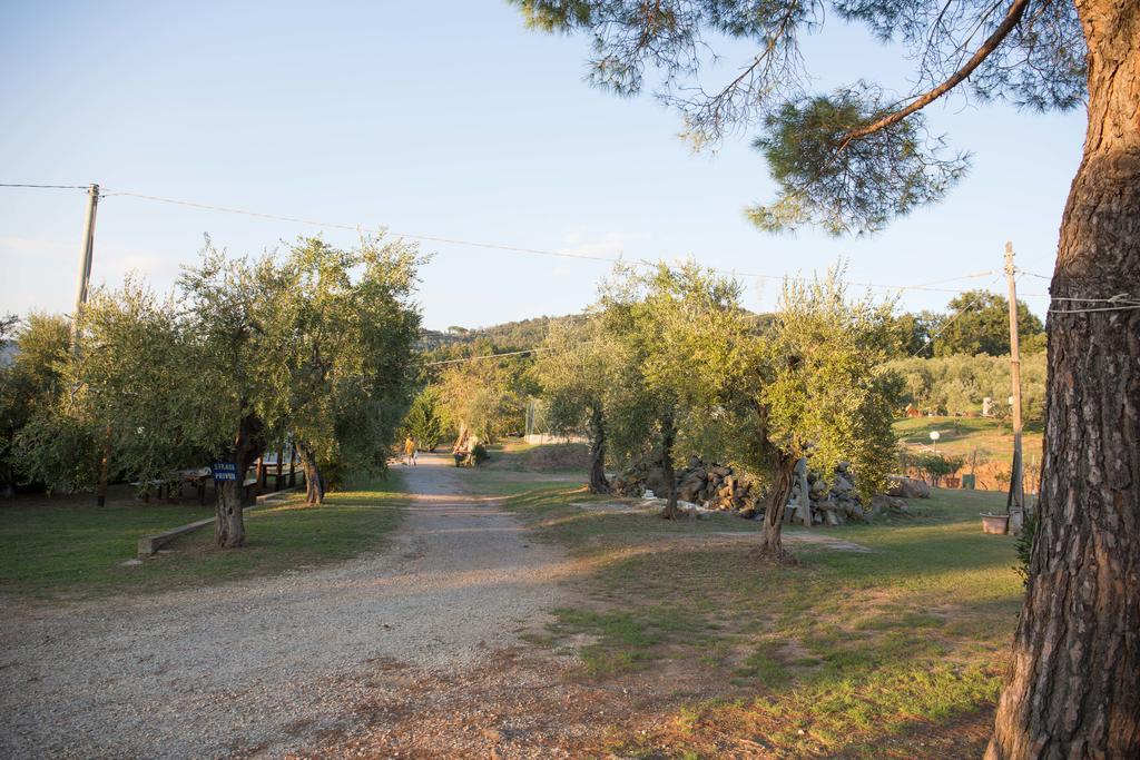 Agriturismo Poggetto Larciano Bagian luar foto