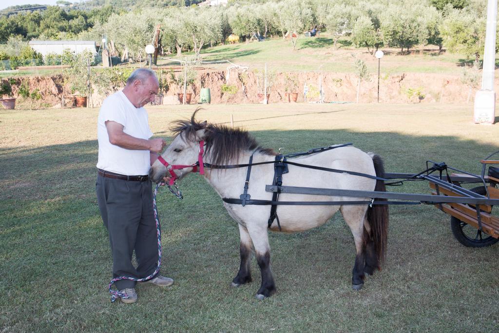 Agriturismo Poggetto Larciano Bagian luar foto